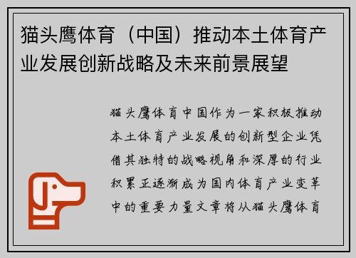 猫头鹰体育(中国)推动本土体育产业发展创新战略及未来前景展望 猫头鹰体育(中国)推动本土体育产业发展创新战略及未来前景展望